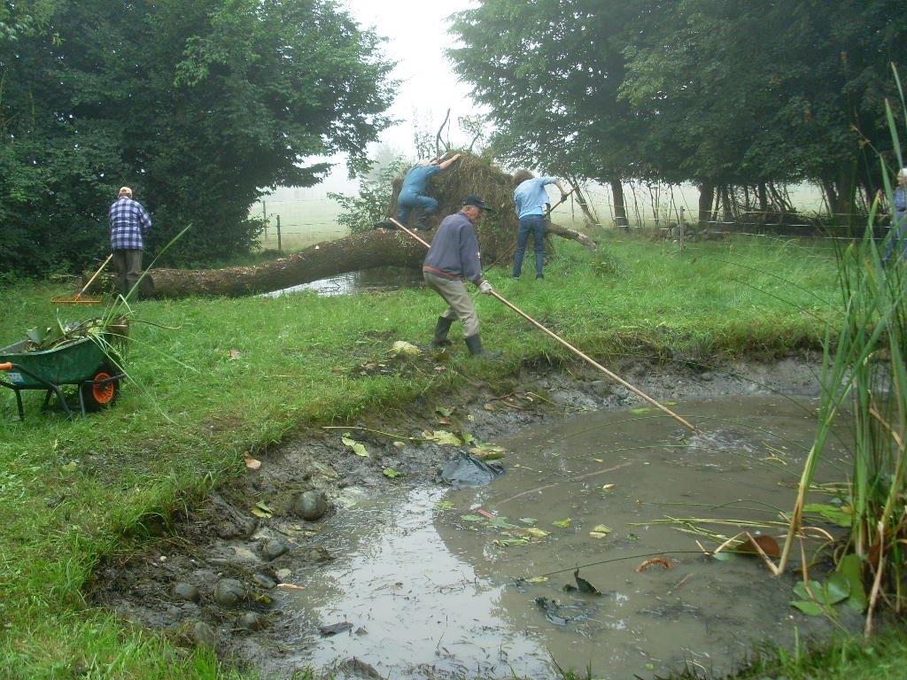 Weiherreinigung 2014