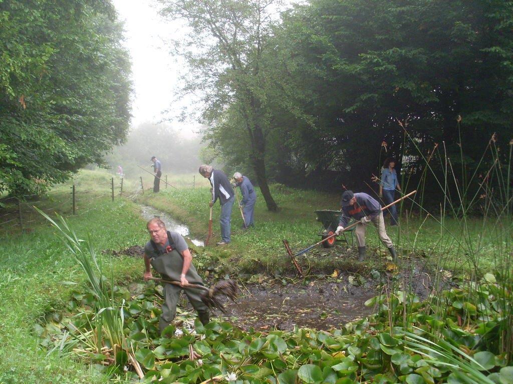 Weiherreinigung 2014