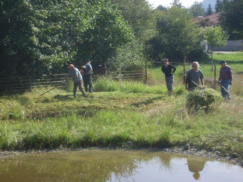 Weiherreinigung 2014