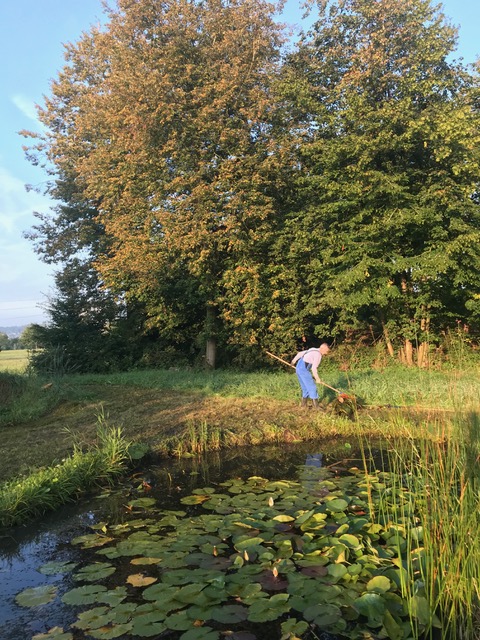 Weiherreinigung 2019