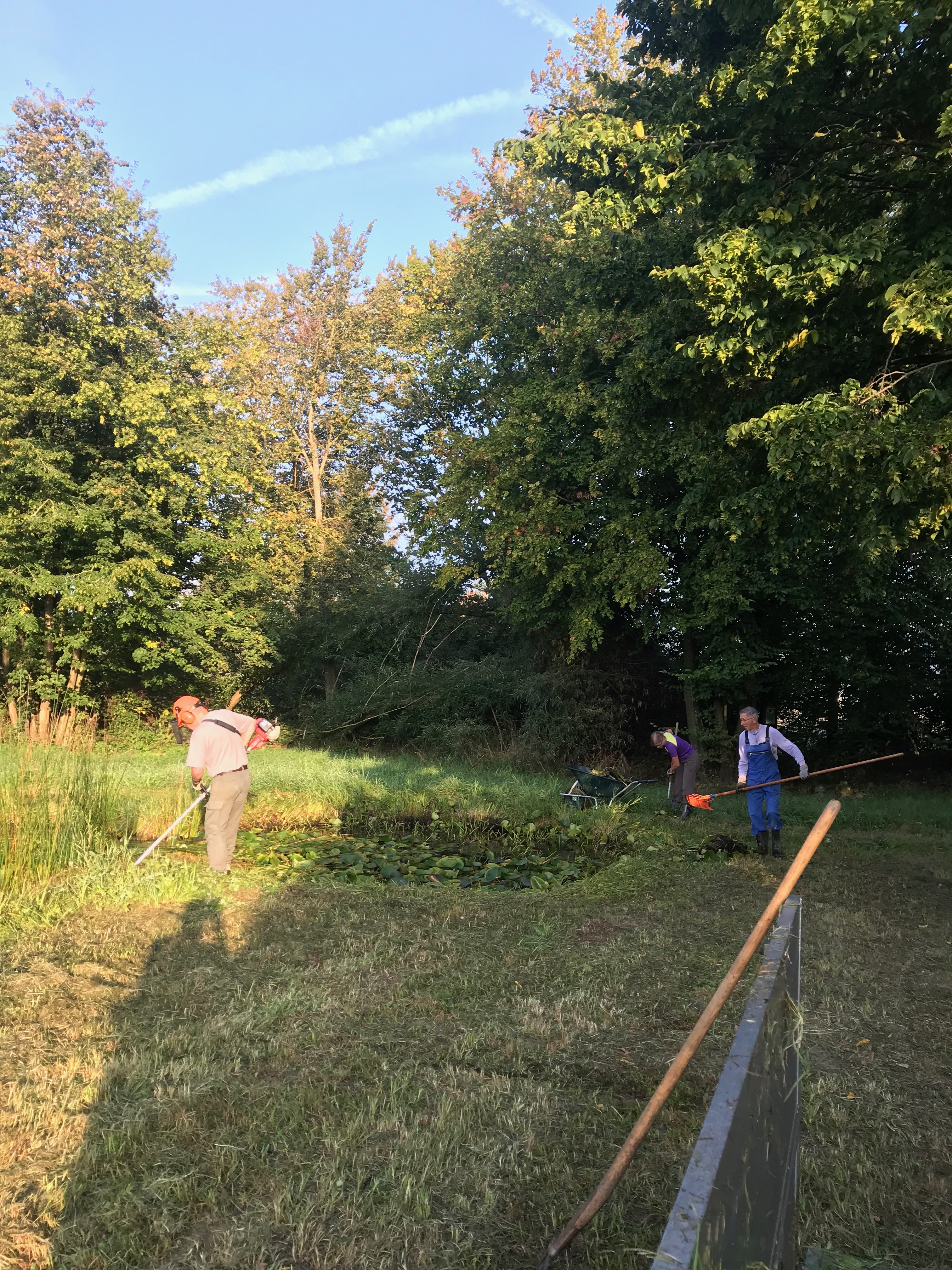 Weiherreinigung 2019